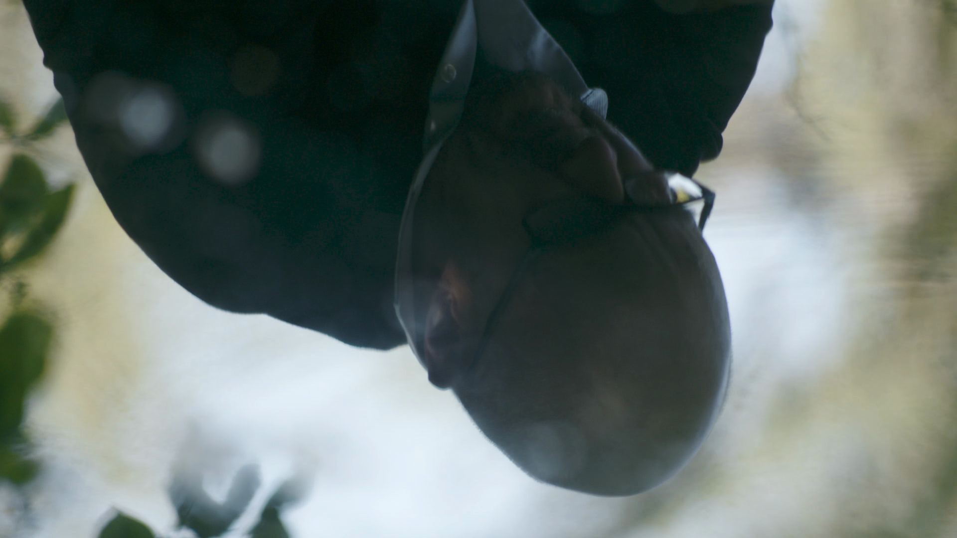 IWAD_Still5
